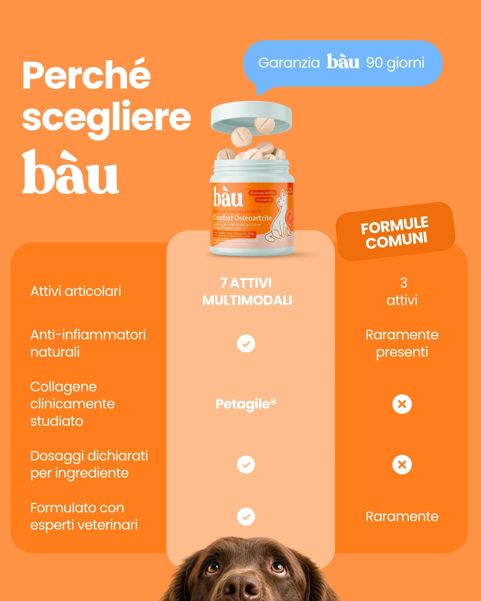 Immagine prodotto 10