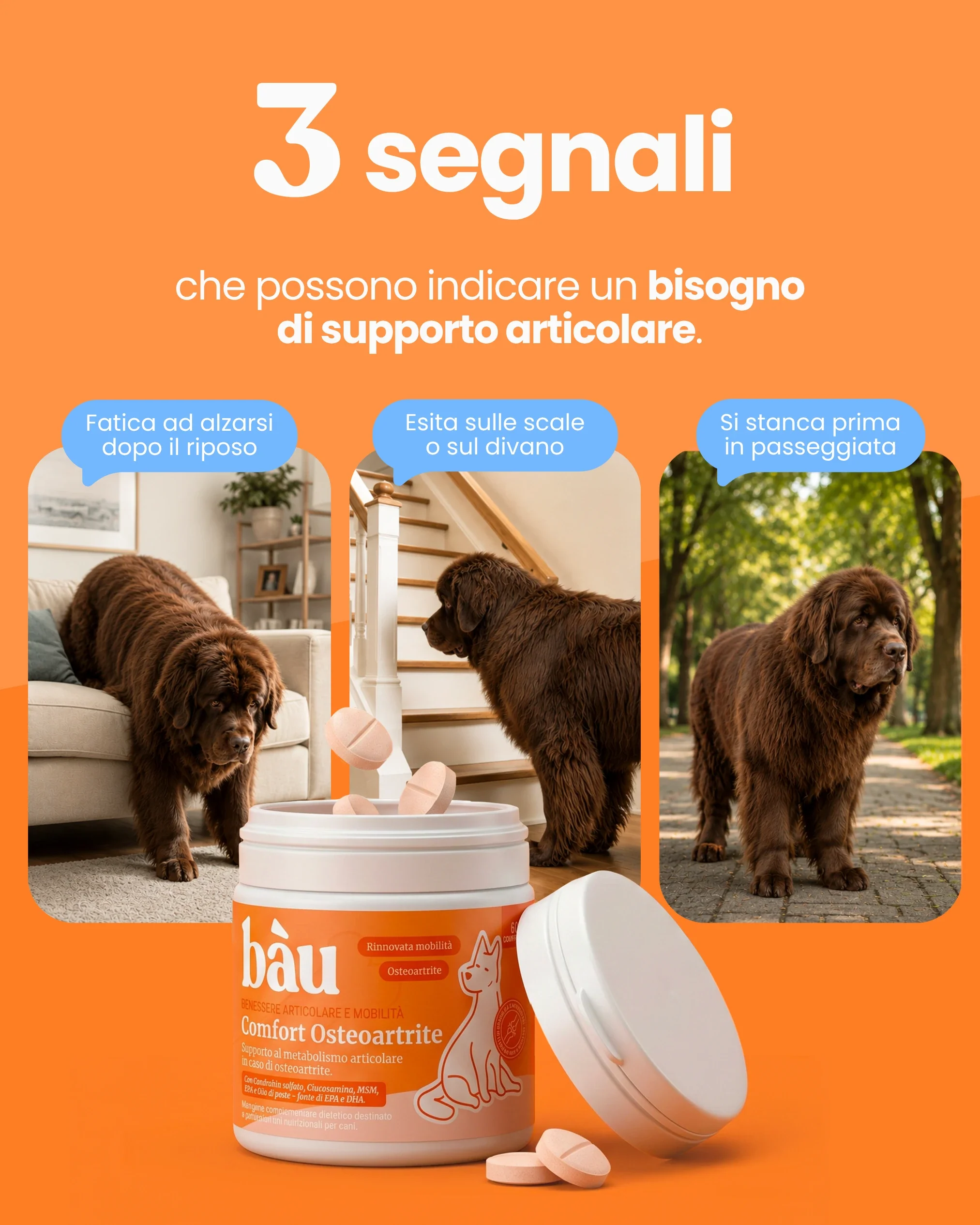 Immagine prodotto 3