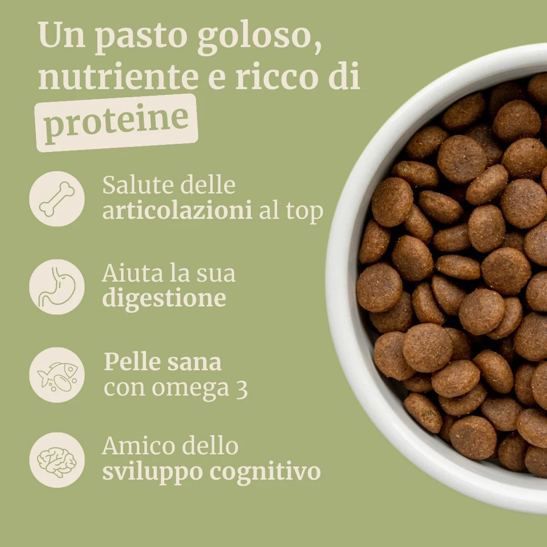 Immagine prodotto 2