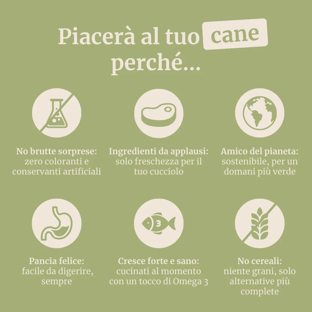 Immagine prodotto 6