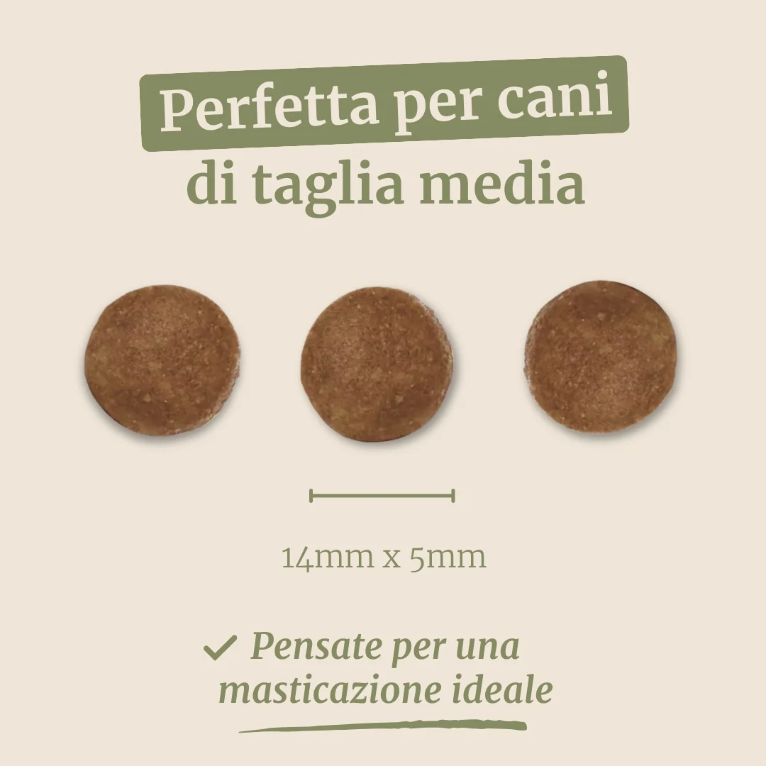 Immagine prodotto 7