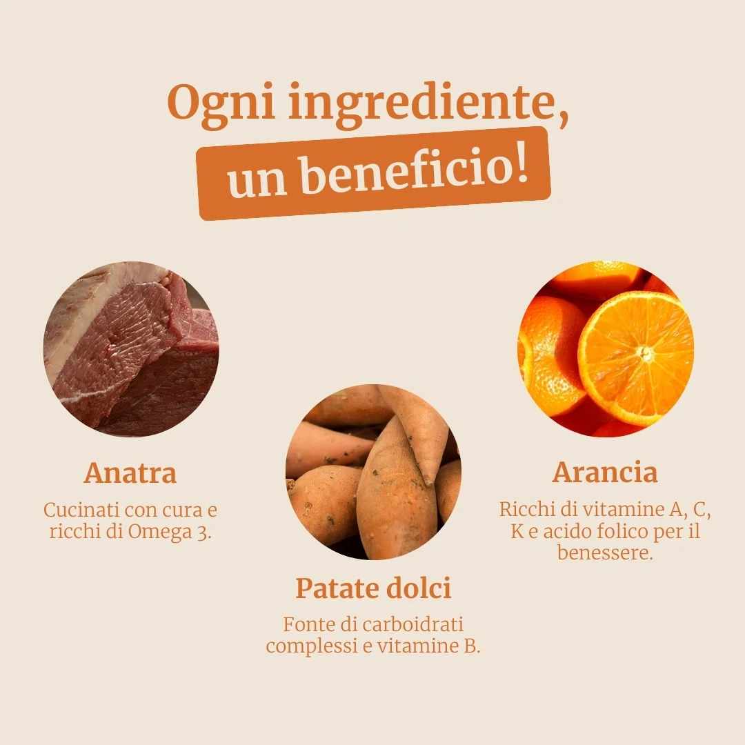 Immagine prodotto 3
