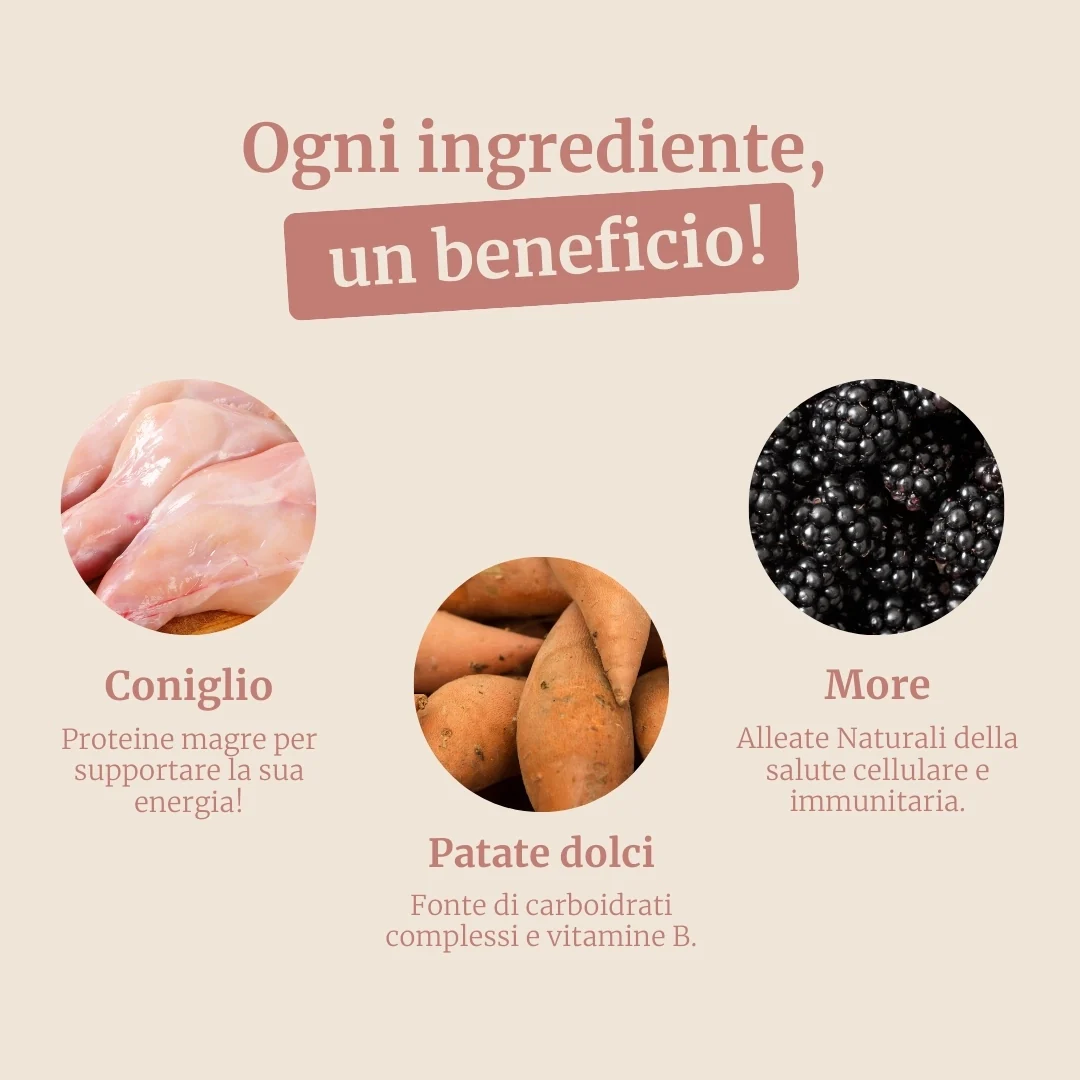 Immagine prodotto 3