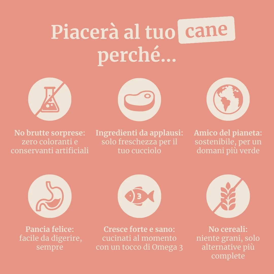 Immagine prodotto 6