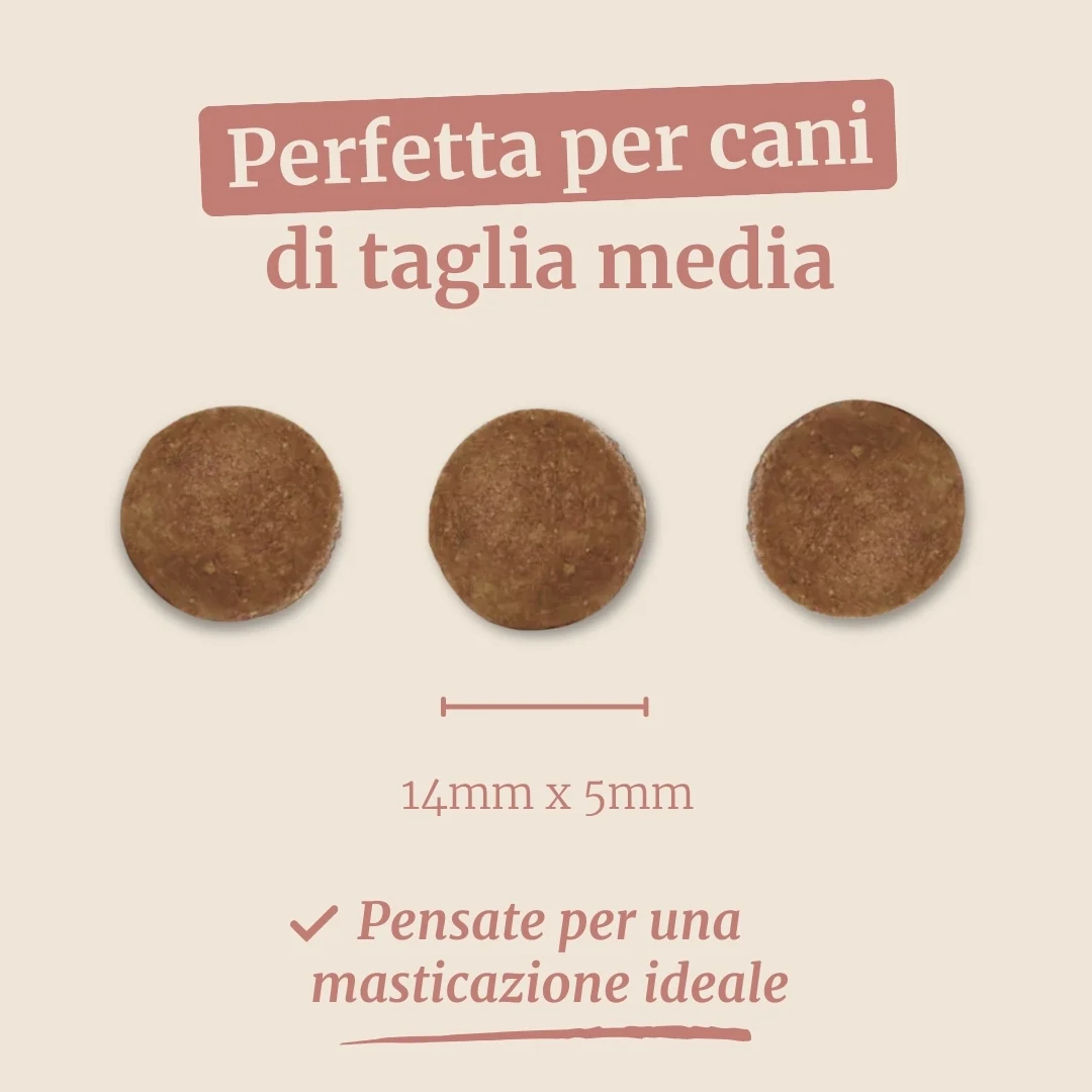Immagine prodotto 7