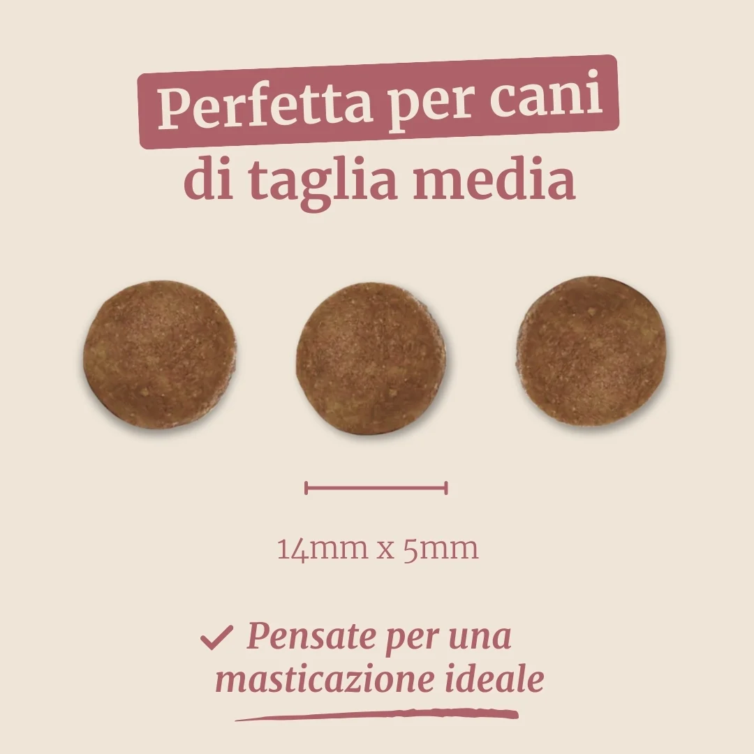 Immagine prodotto 7