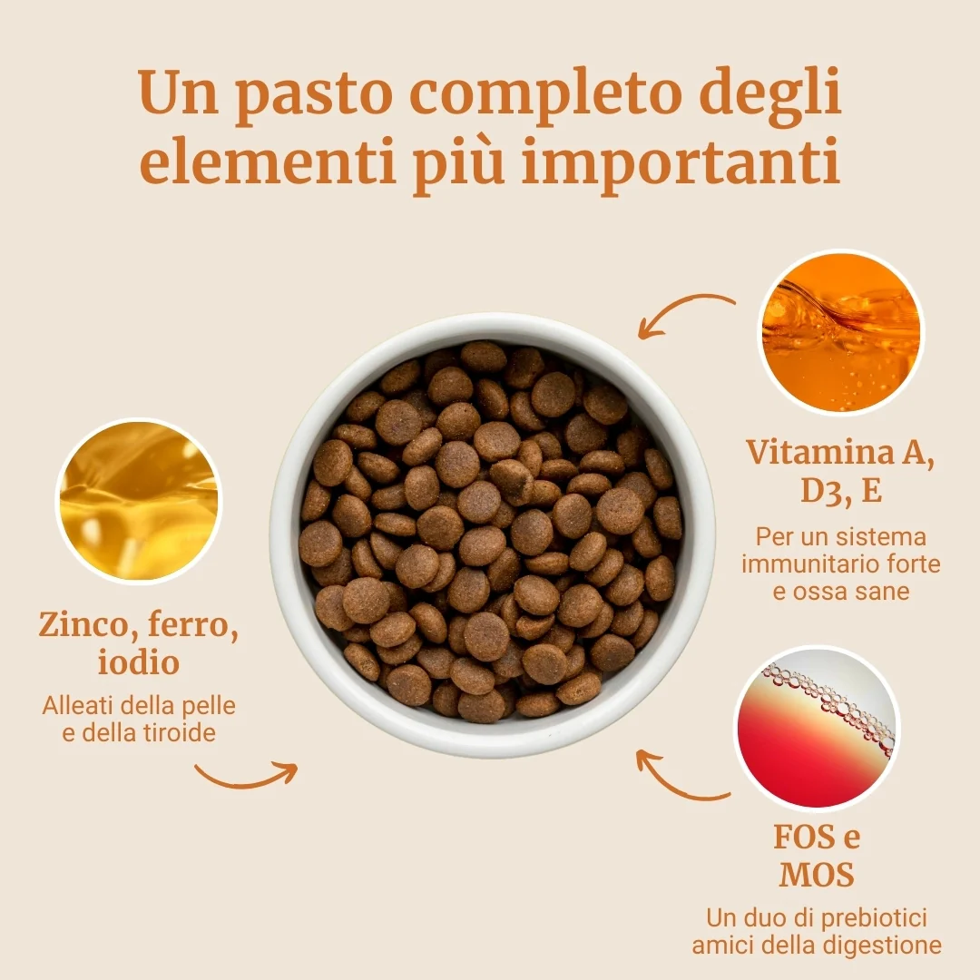 Immagine prodotto 4