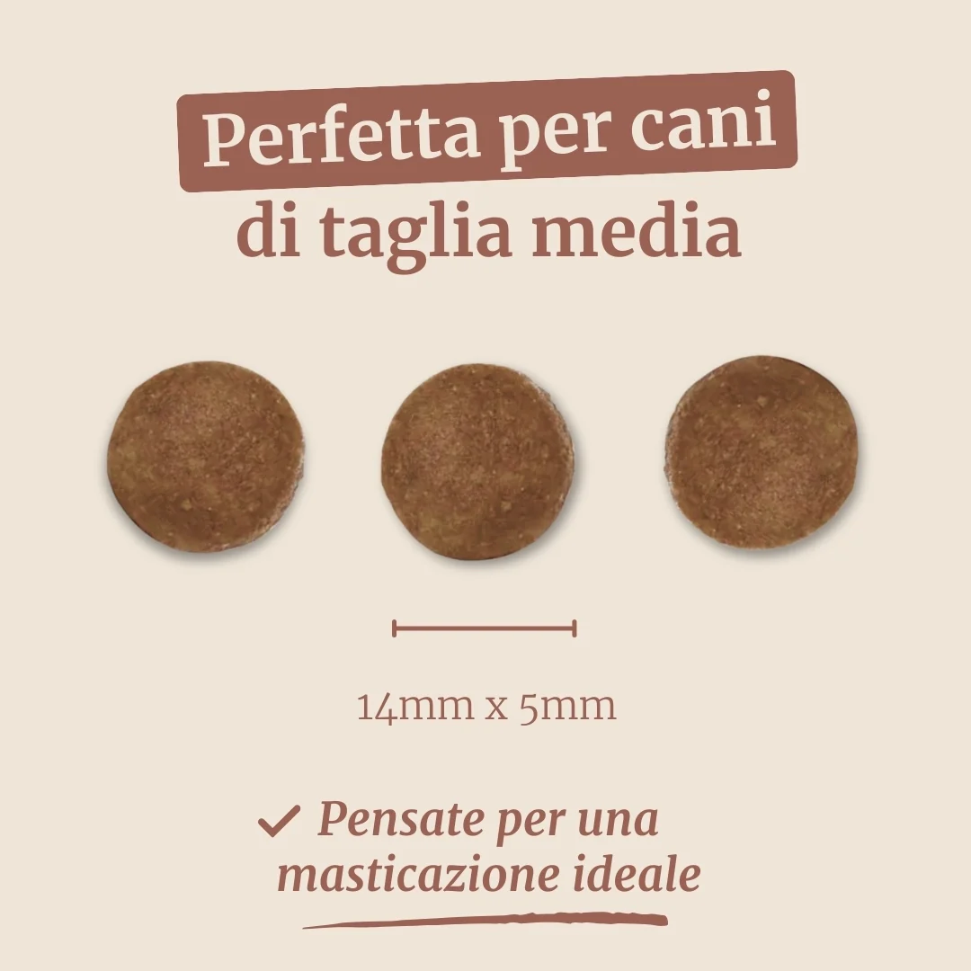 Immagine prodotto 7