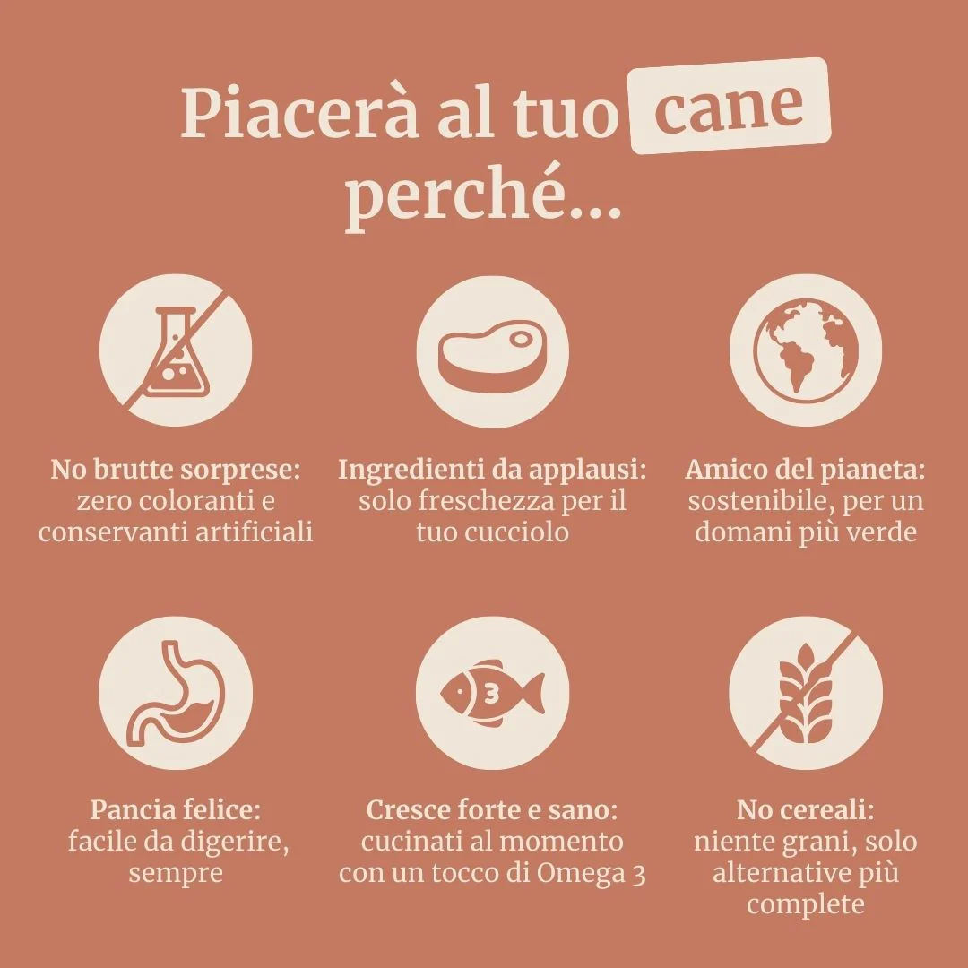 Immagine prodotto 6