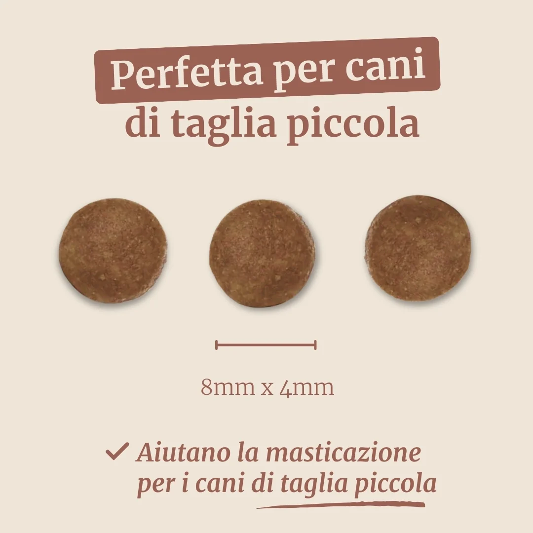 Immagine prodotto 7