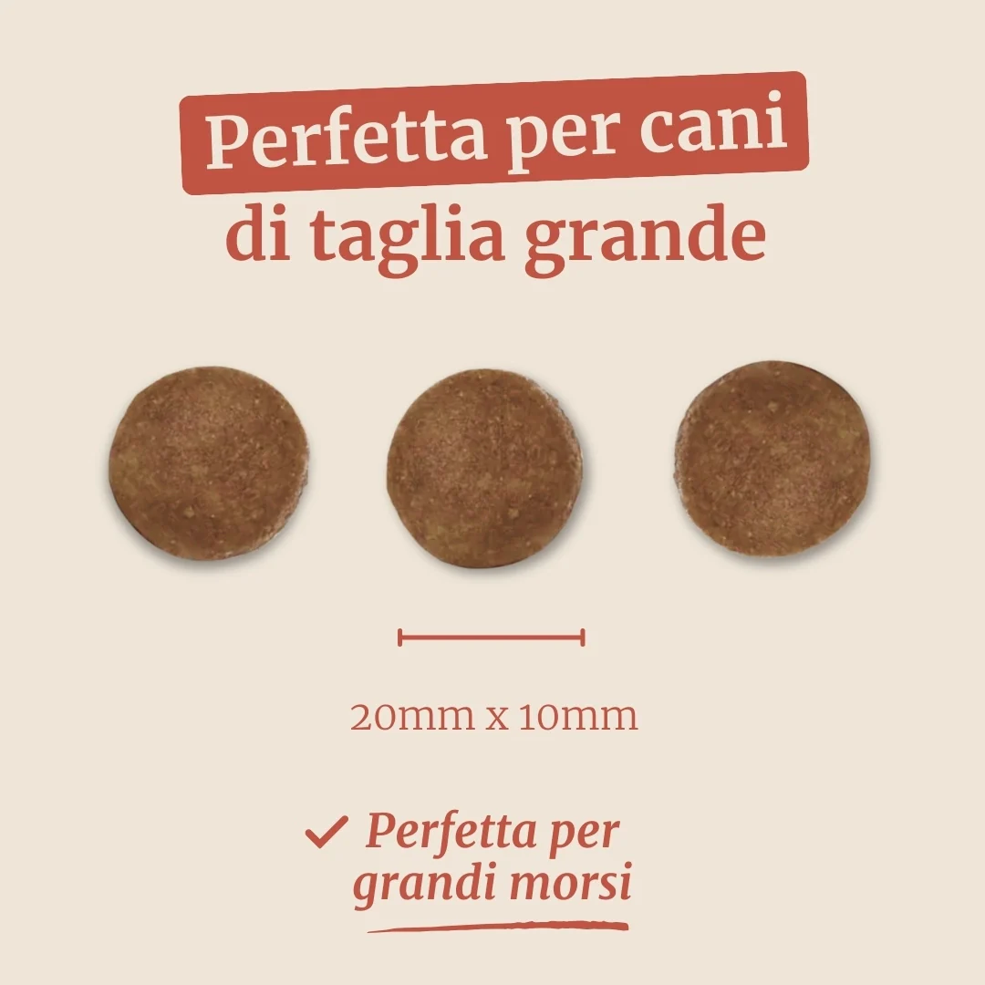 Immagine prodotto 7