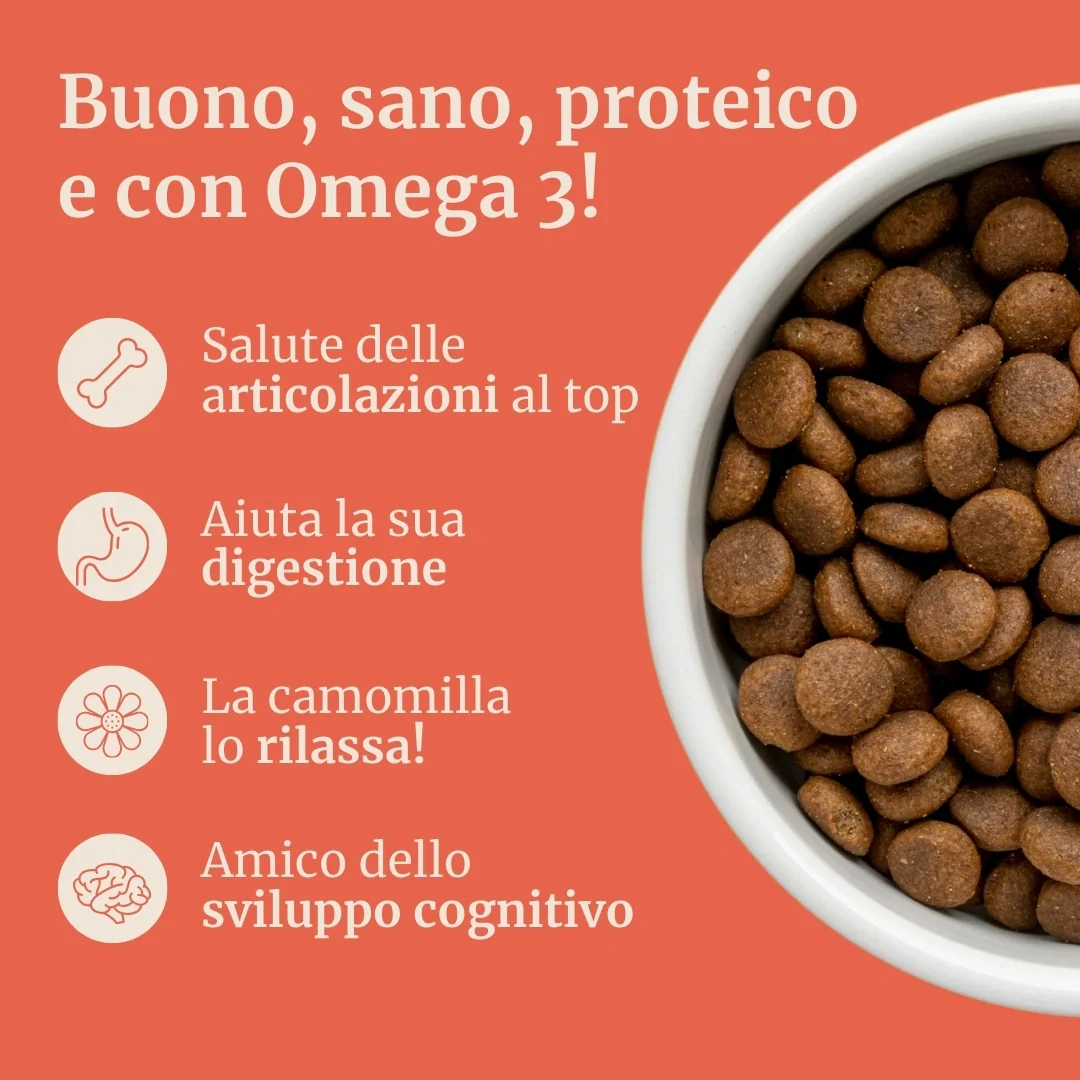 Immagine prodotto 2