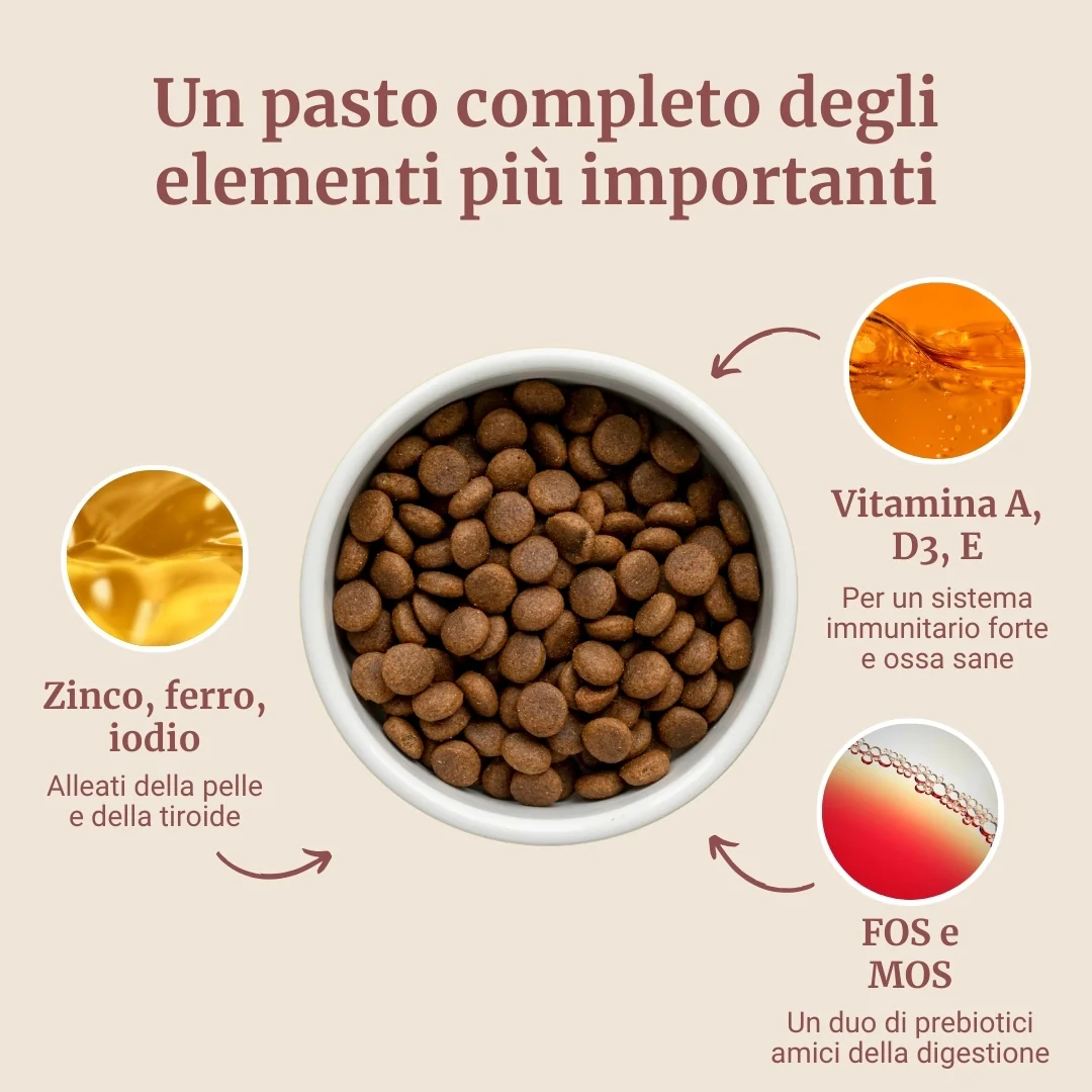 Immagine prodotto 4