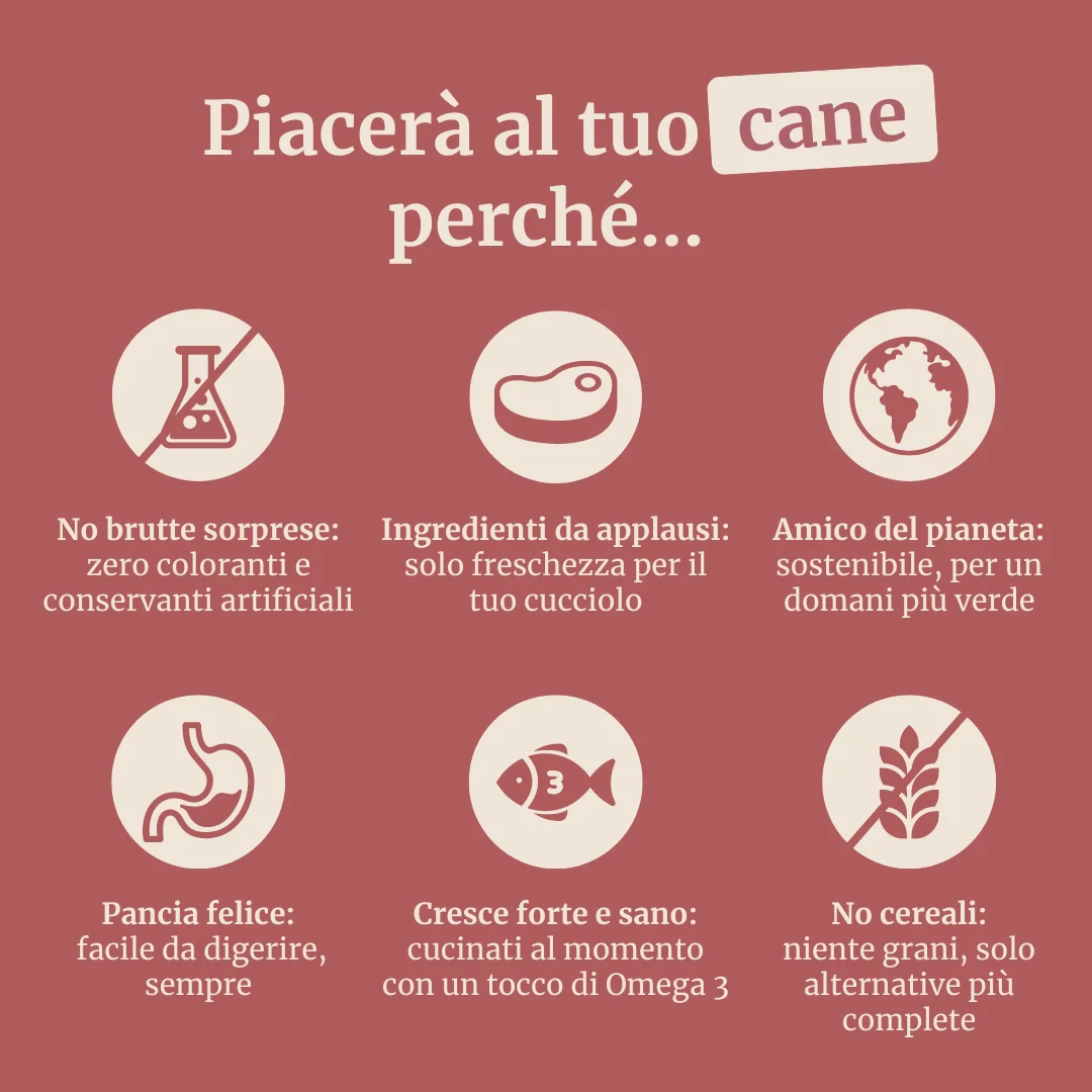 Immagine prodotto 6