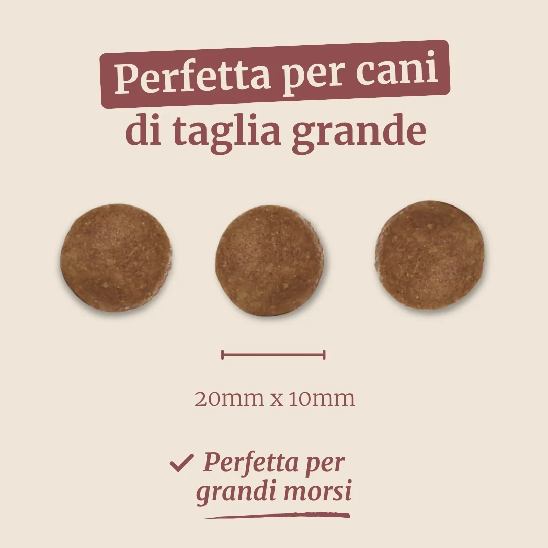 Immagine prodotto 7