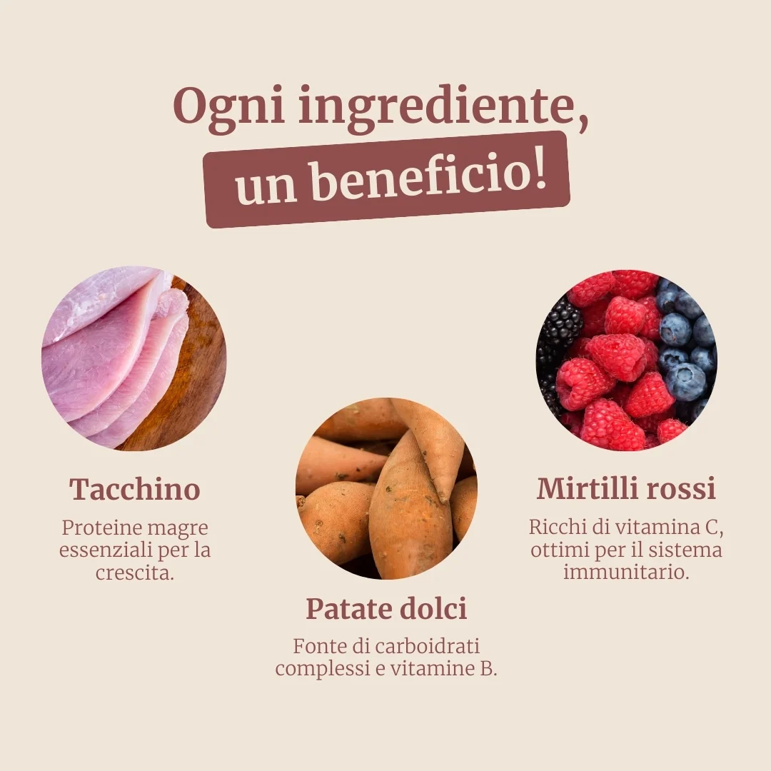 Immagine prodotto 3