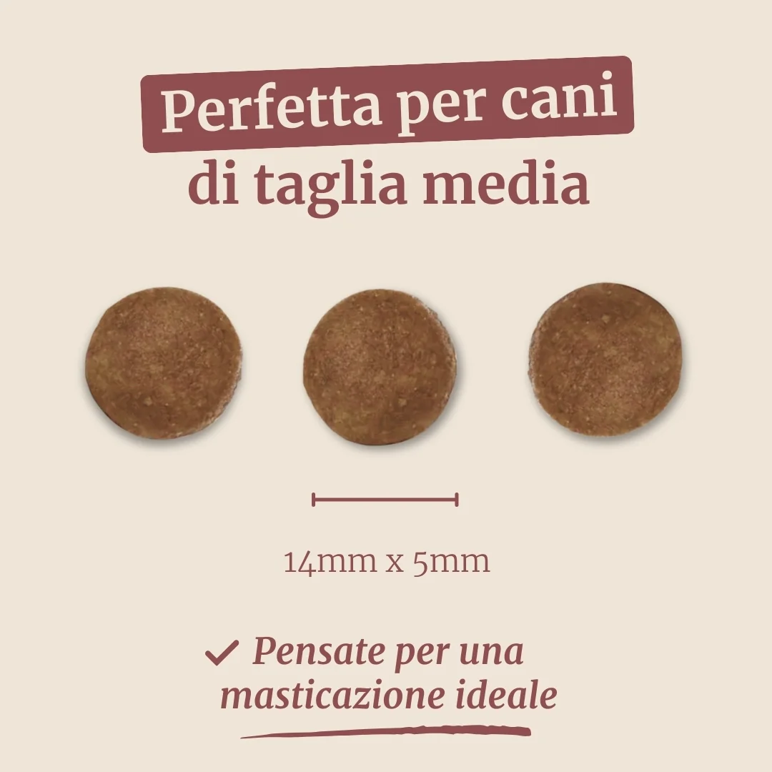 Immagine prodotto 7