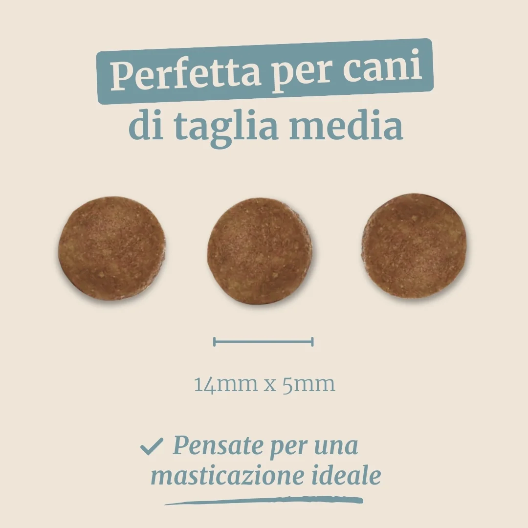 Immagine prodotto 7