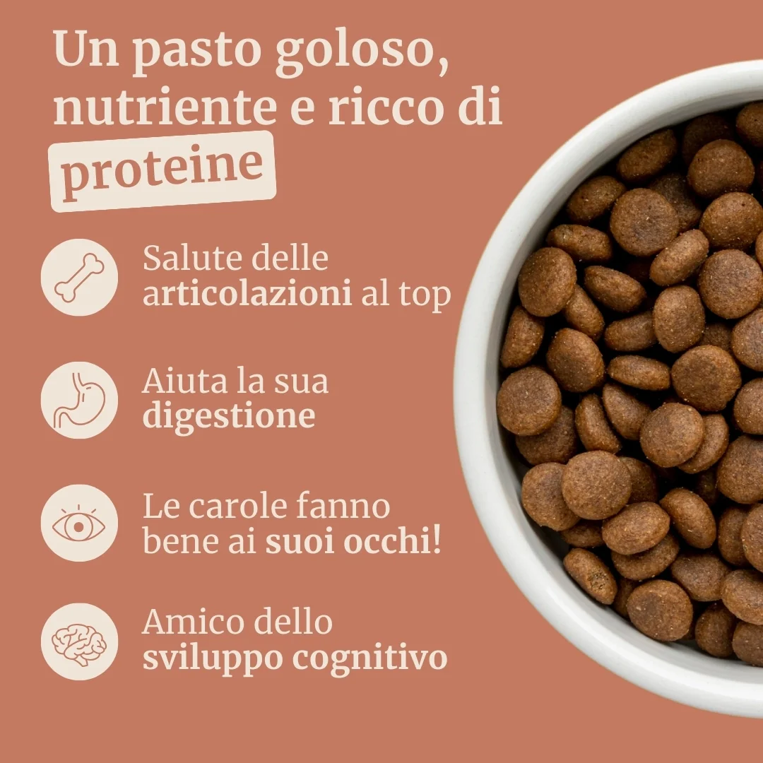 Immagine prodotto 2
