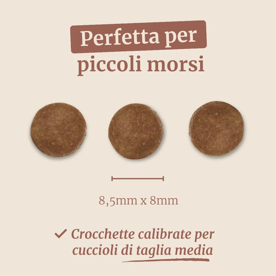 Immagine prodotto 7