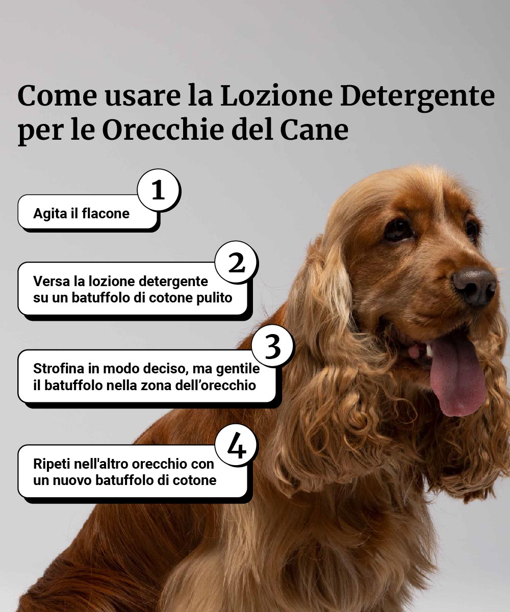 Immagine prodotto 6