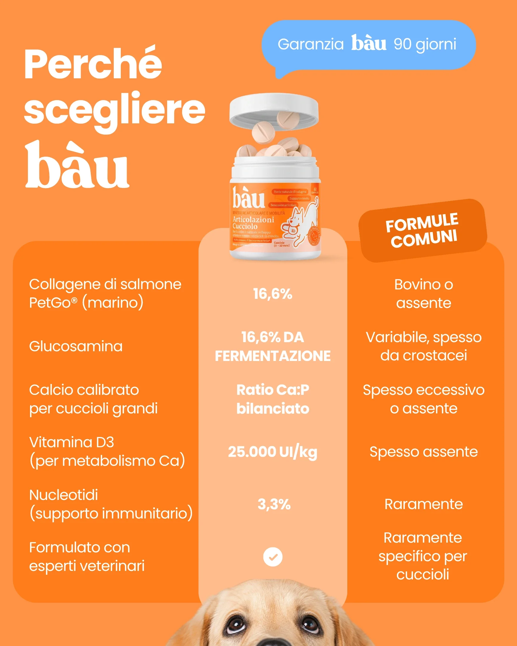 Immagine prodotto 10