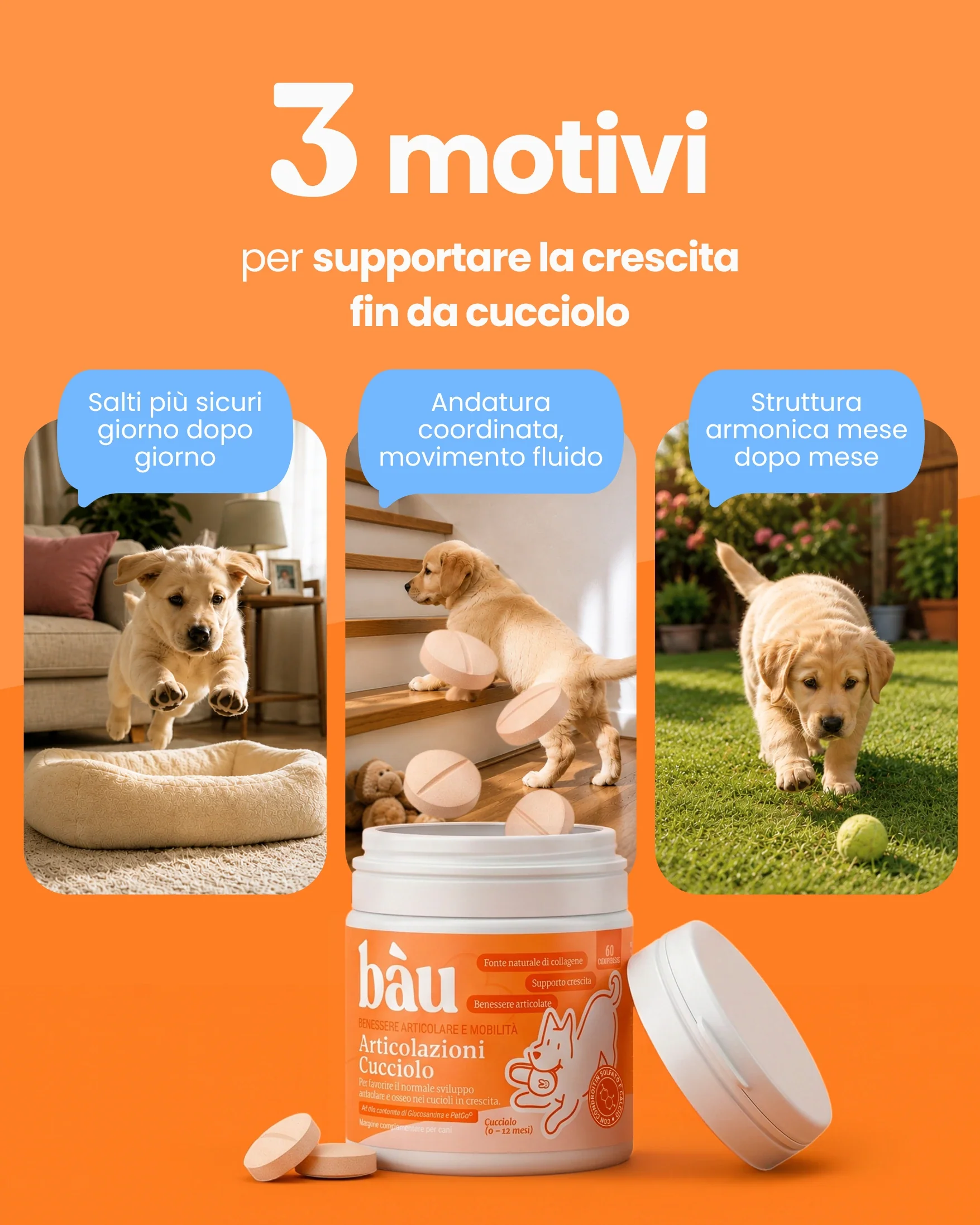 Immagine prodotto 3
