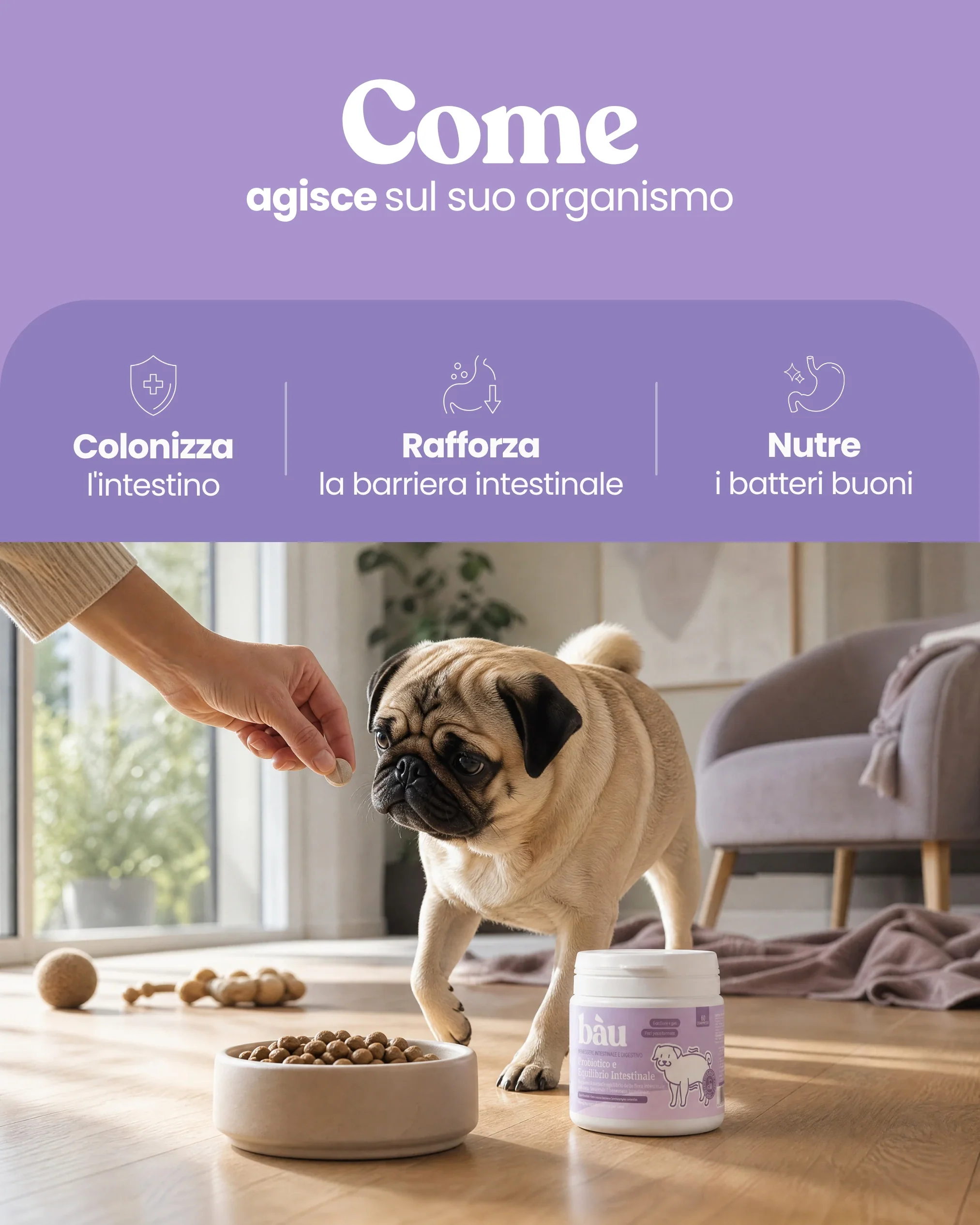Immagine prodotto 6