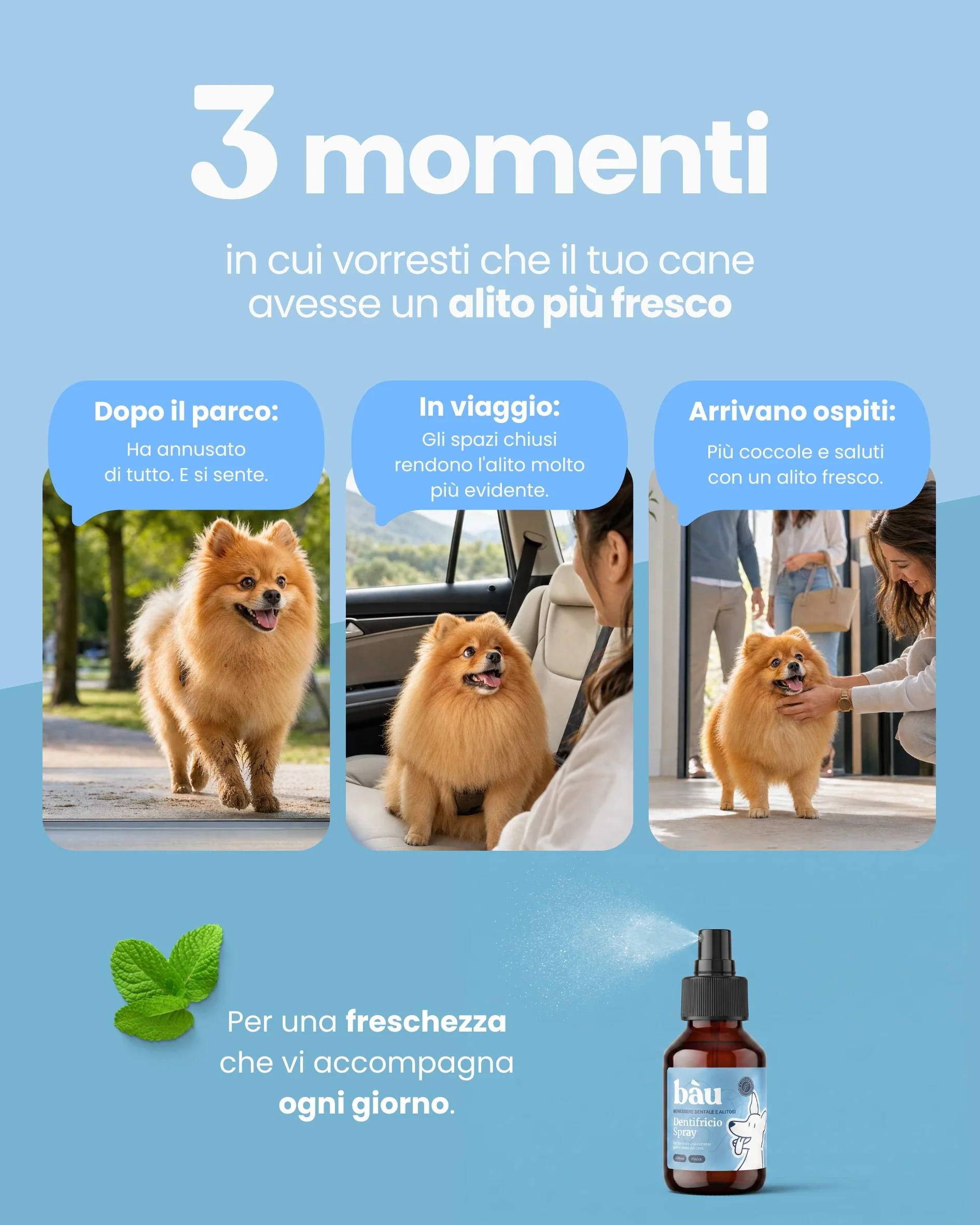 Immagine prodotto 3