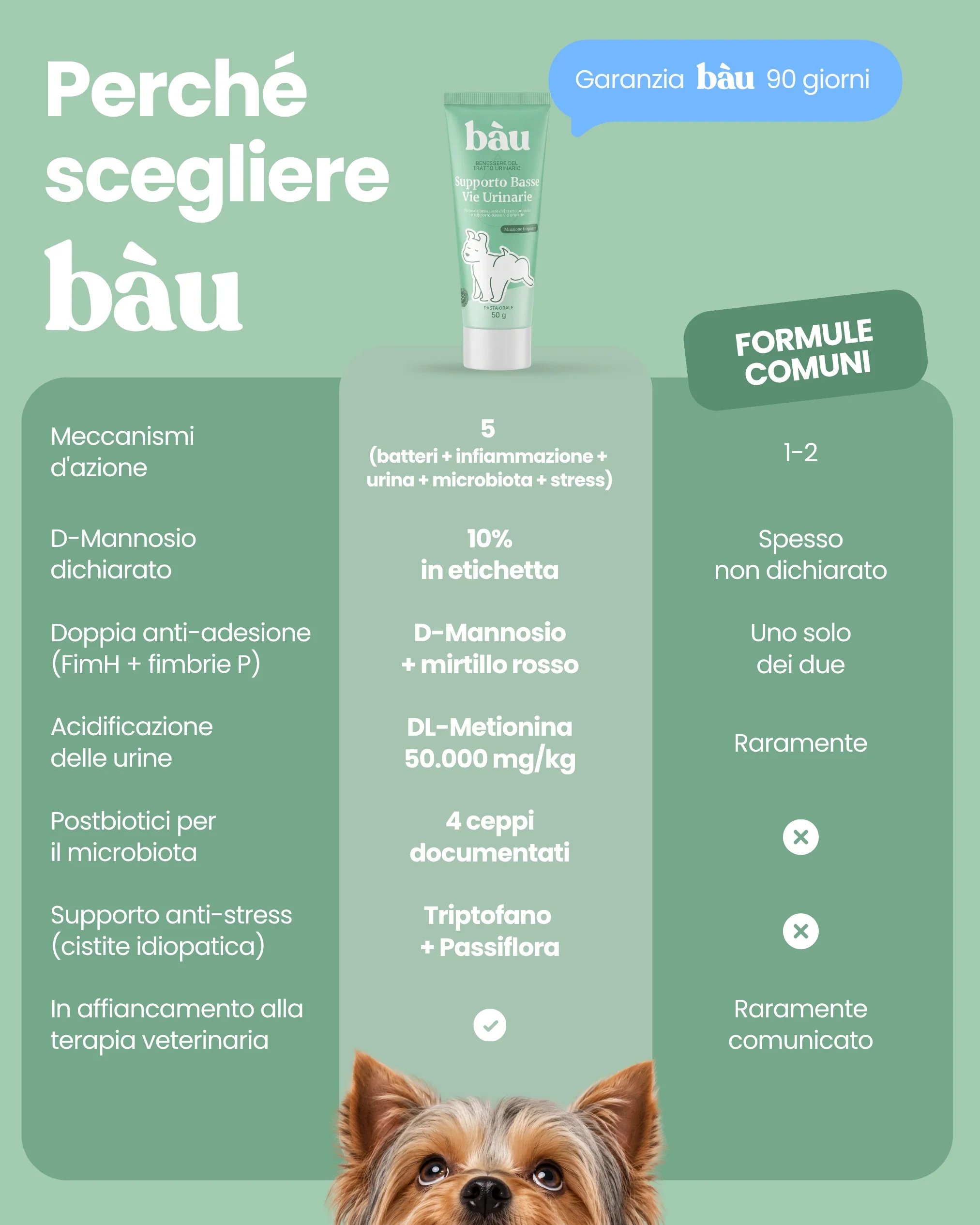 Immagine prodotto 10