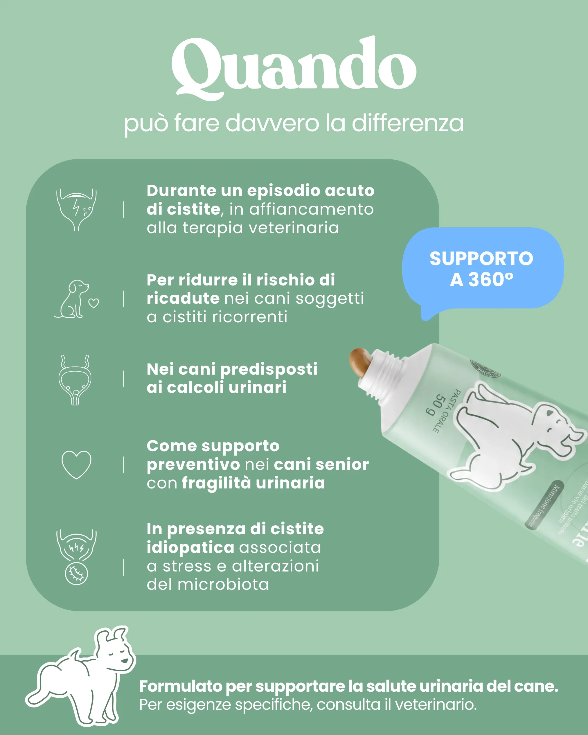Immagine prodotto 5