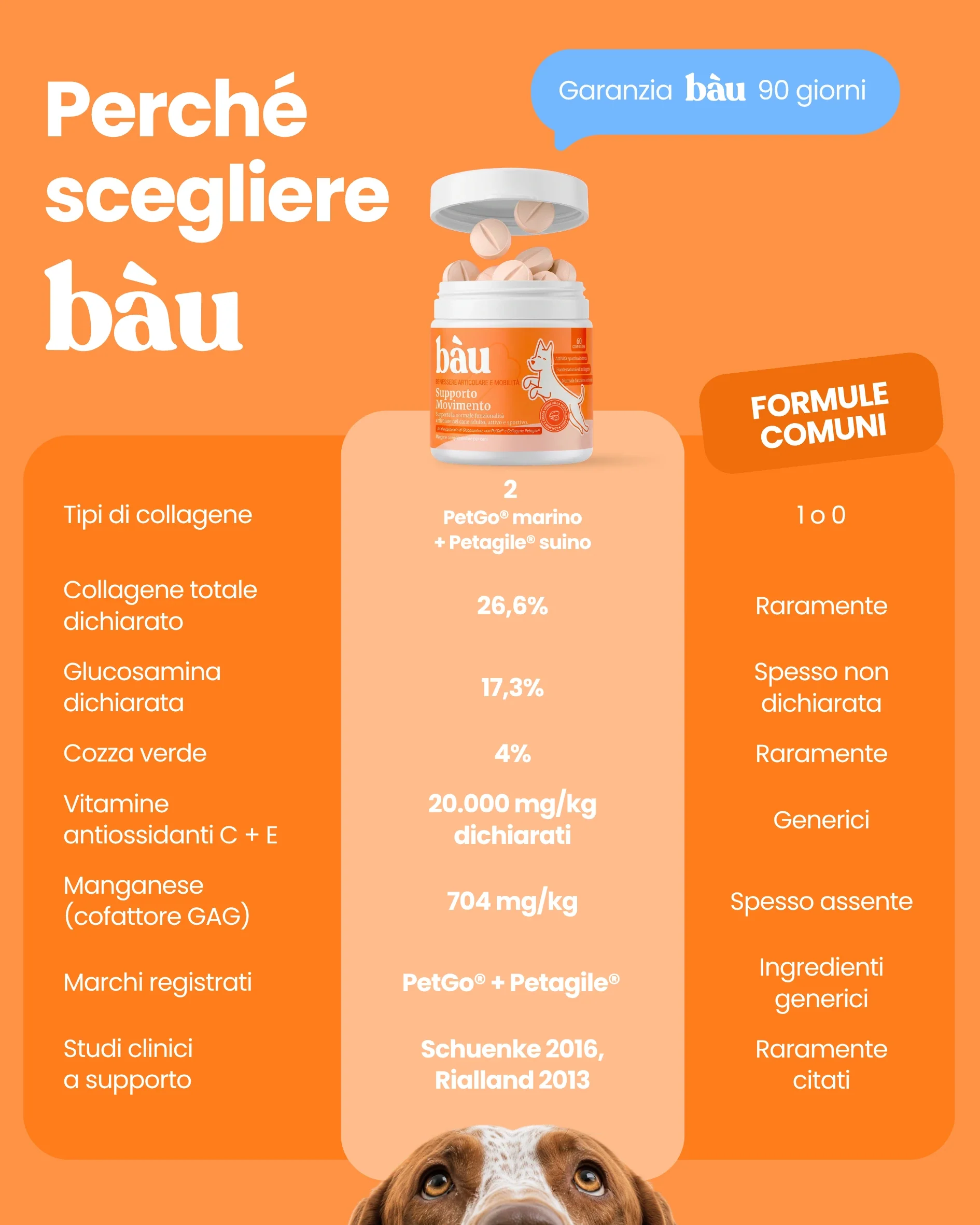 Immagine prodotto 10