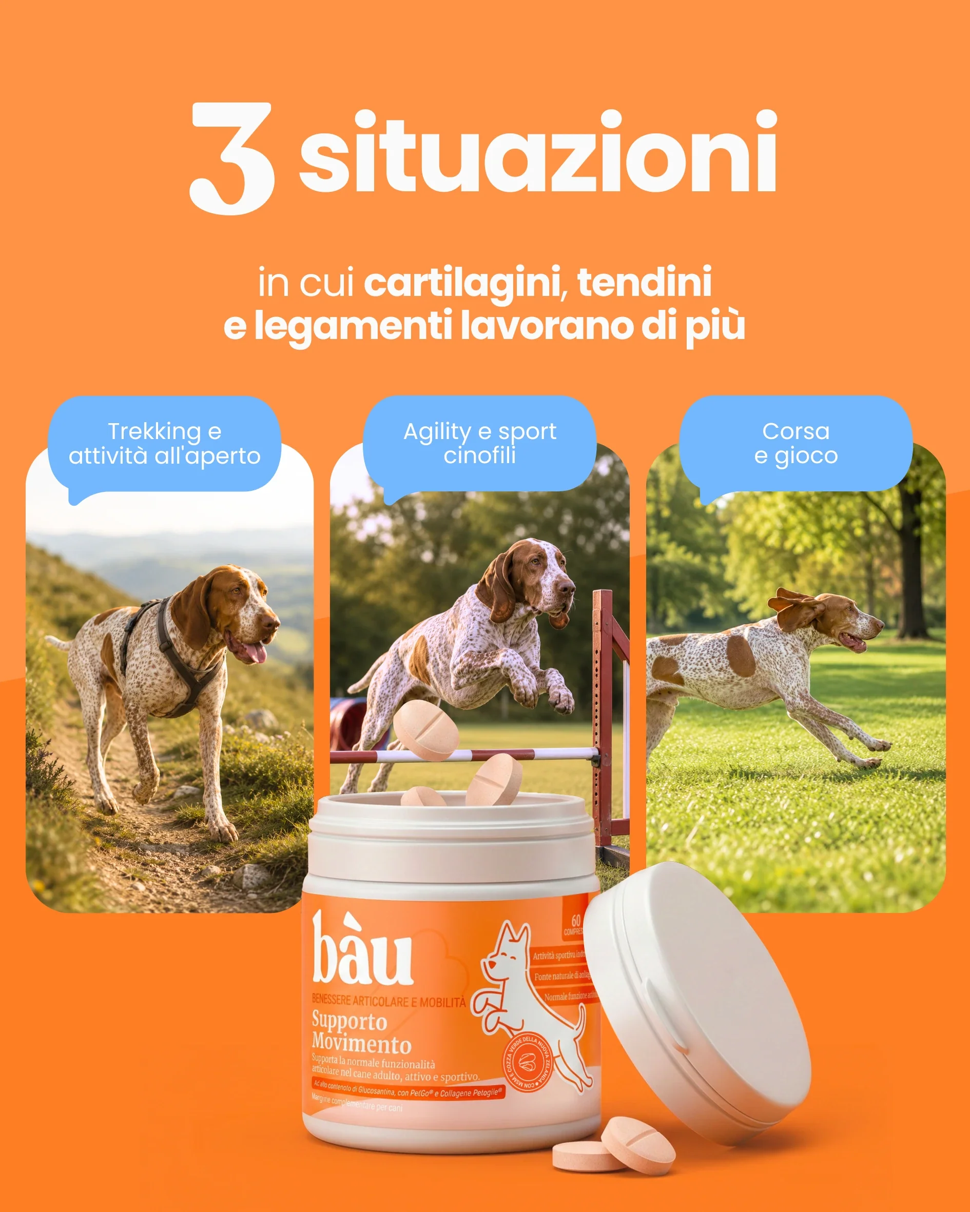 Immagine prodotto 3